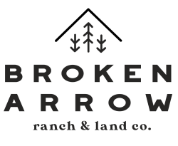 broken arrow   full logo black
