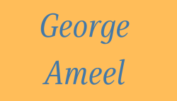george ameel  3 x 3 in   tag  us    