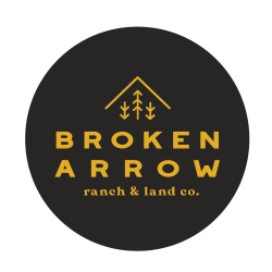 broken arrow   button icons
