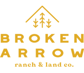 broken arrow logo2